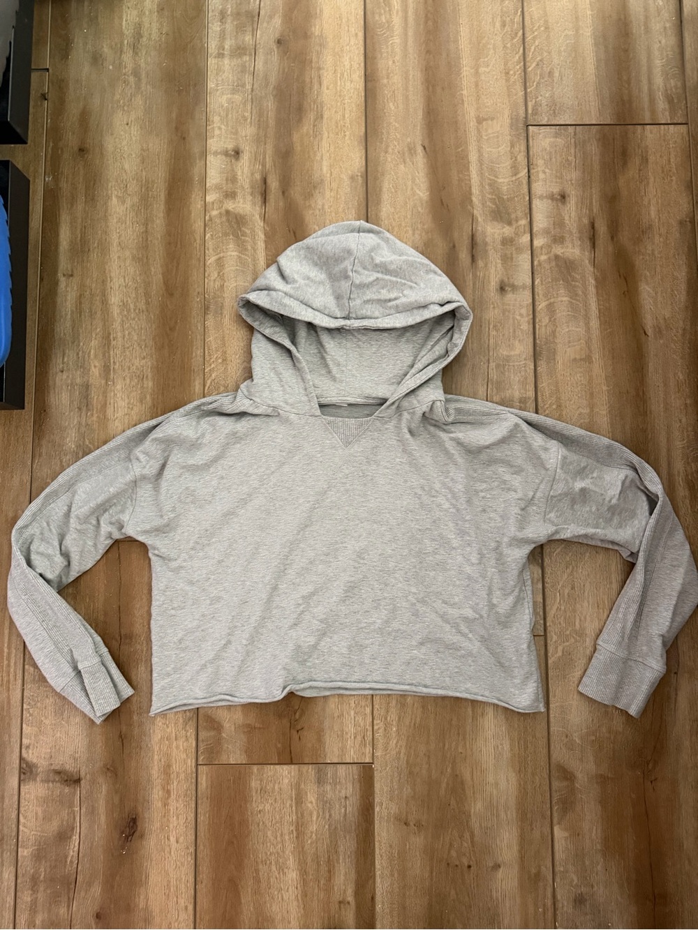 Cropped Aerie Hoodie